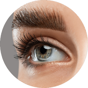 Eyelash/Eyebrow Tinting