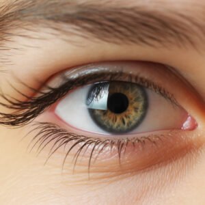 Lash & Brow Tint Combo